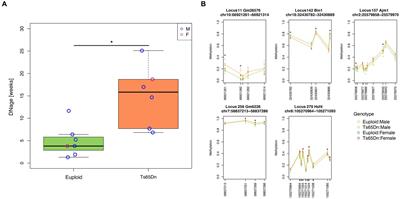 Increased hippocampal epigenetic age in the Ts65Dn mouse model of Down Syndrome